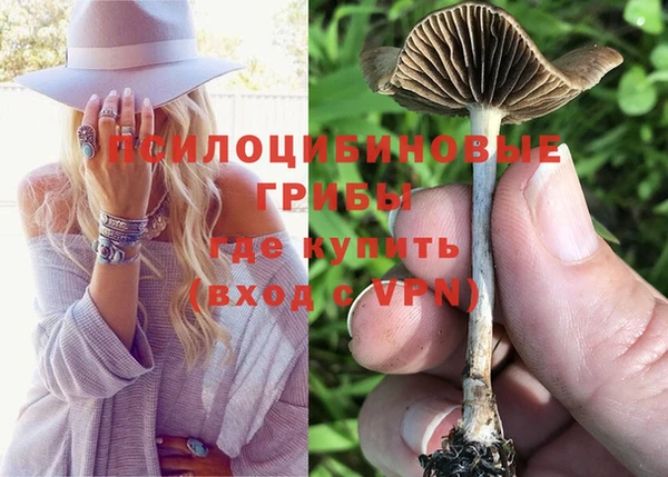 кокс Беломорск