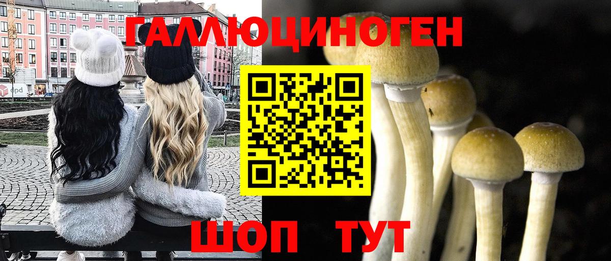 Галлюциногенные грибы прущие грибы Великие Луки